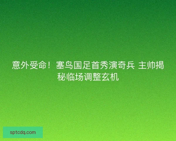 意外受命！塞鸟国足首秀演奇兵 主帅揭秘临场调整玄机